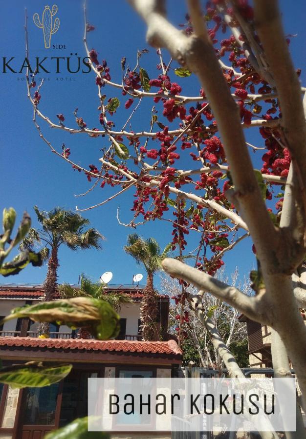 Kaktues Boutique Hotel ซีเด ภายนอก รูปภาพ